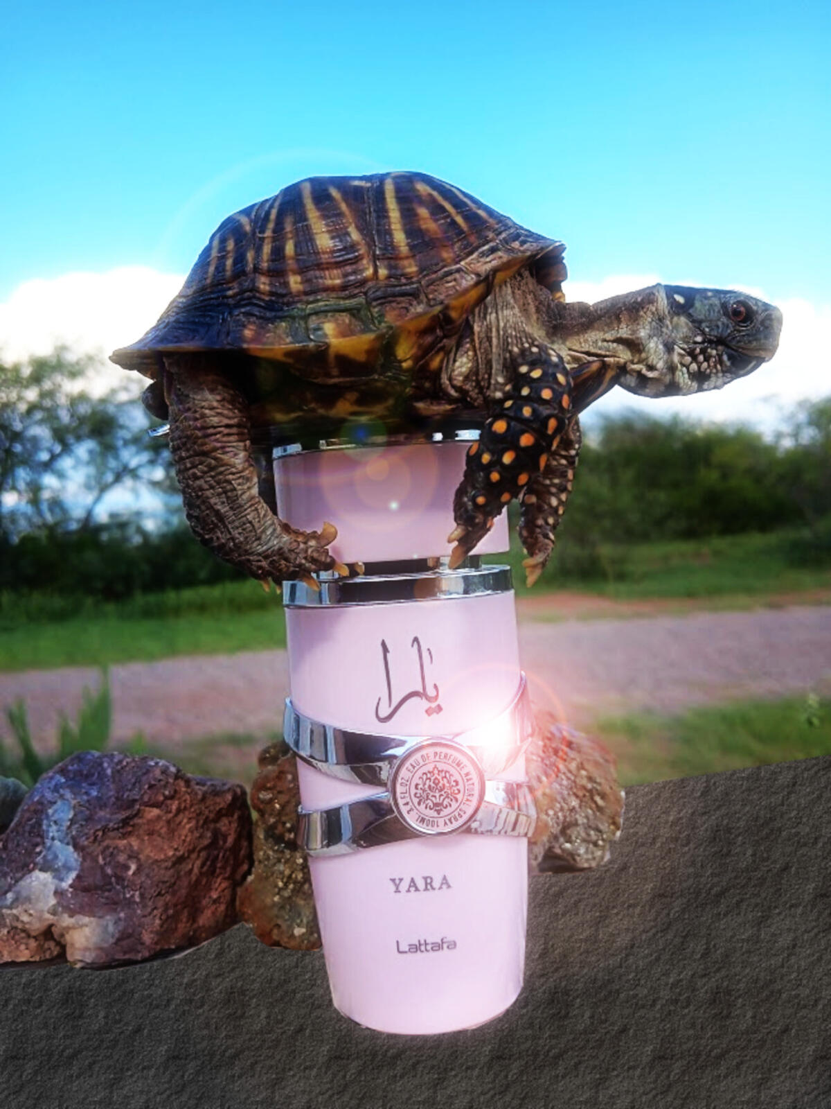 Yara by Lattafa Perfumes | Eau De Parfum - 100ml (3.4 fl oz) For Women